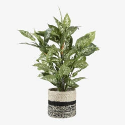 Mica Decorations Erika Mand Voor Planten Ø20 Cm 9 Mica Decorations Erika Mand Voor Planten Ø20 Cm -Opslag Meubelwinkel 1000007022 0111