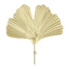 QUVIO Wandhaak Ginkgo Blad - Metaal - Goud