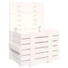 VidaXL Opbergbox 58x40,5x42 Cm Massief Grenenhout Wit -Opslag Meubelwinkel 1000088062