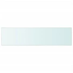 VidaXL Schappen 2 St 100x25 Cm Glas Transparant -Opslag Meubelwinkel 7e8058d8827f4bceb0a3656efd2b5380