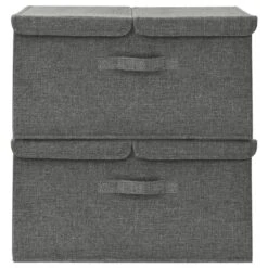 VidaXL Opbergboxen 2 St 50x30x25 Cm Stof Antracietkleurig -Opslag Meubelwinkel be691201344f45af81ed8e72fafab519